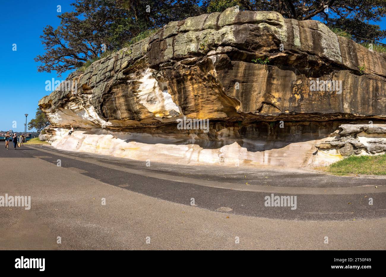 Rock formations that have been carved out over a millennia in the Royal Botanic Gardens, Sydney, NSW, Australia Stock Photo