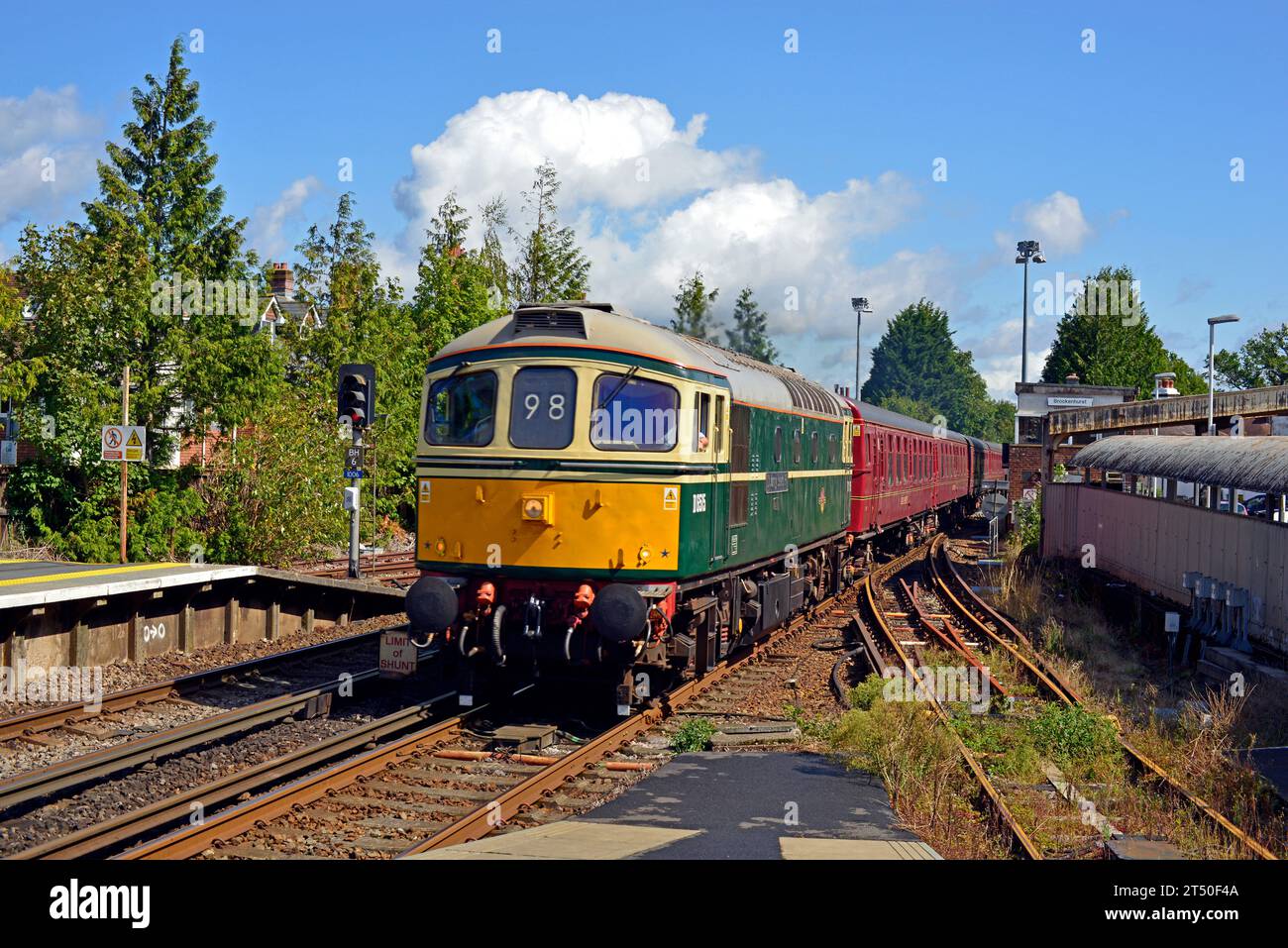 BR Green liveried Class 33 Diesel no. D6515 arrives at Brockenhurst in the New Forest with a Swanage Sunday Special excursion from London Waterloo. Stock Photo