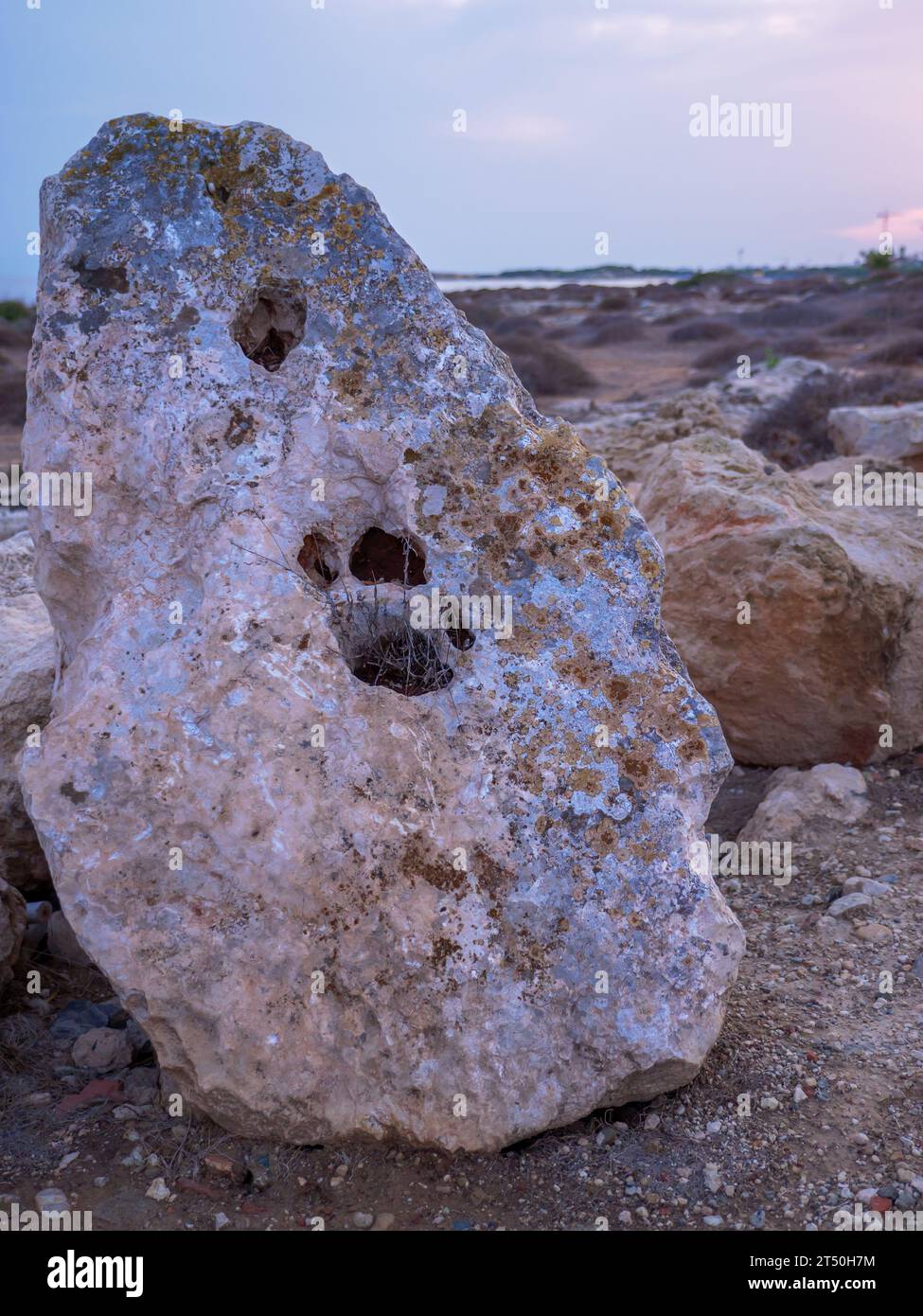 Porous rock seaside hi-res stock photography and images - Alamy