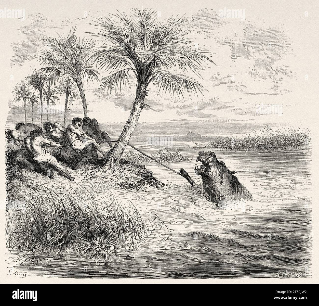 Indigenous people capturing a hippopotamus with a harpoon, Africa. Adventures and Hunts of the Traveler Charles John Andersson in Southern Africa from 1850 to 1860. Old 19th century illustration by Gustave Doré (1832 - 1883) from Le Tour du Monde 1860 Stock Photo