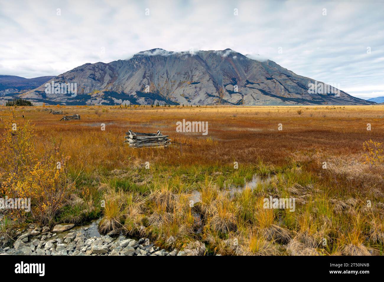 Beautiful autumn view of Kluane Lake and Sheep Mountain in Kluane National Park and Reserve, in the Yukon, Canada. Stock Photo