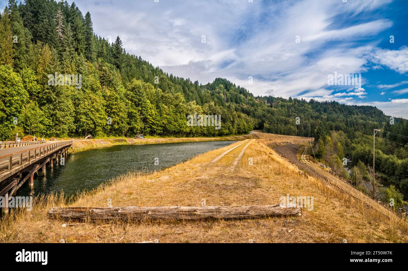 Lewis River between Swift Reservoir and Yale Lake, embankment at Forest