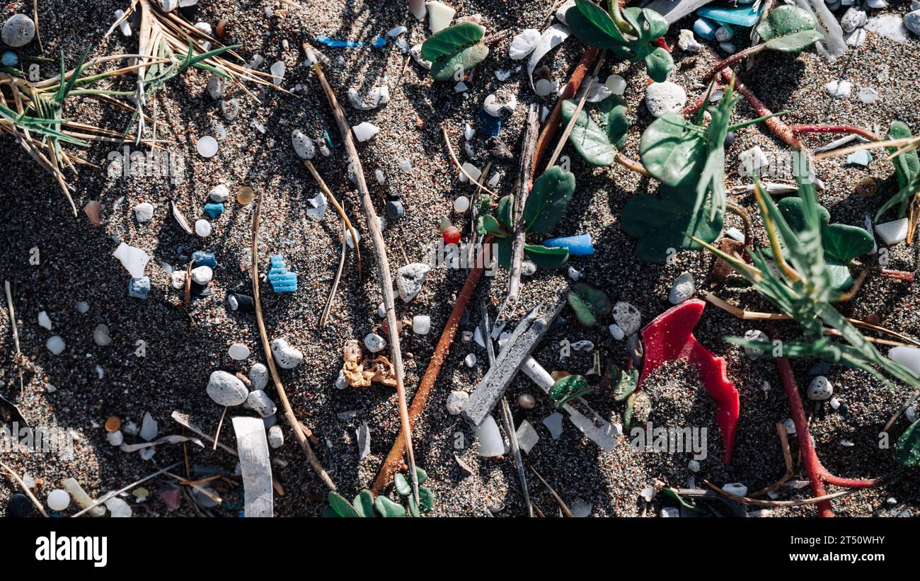A high-angle view of sand and vegetation intermixed with microplastics. The pressing problem is the role microplastics play in heating up our planet. Stock Photo