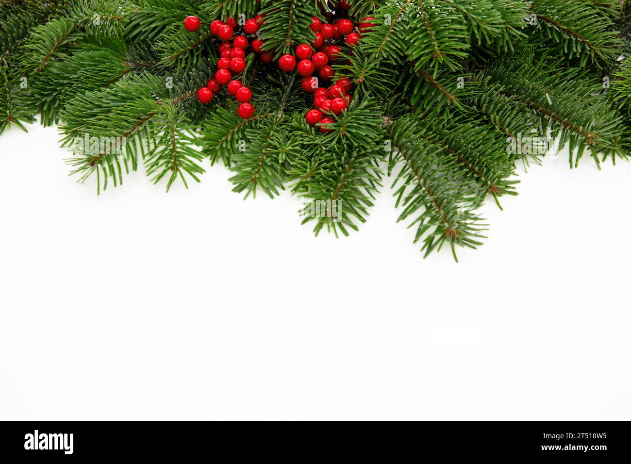 Christmas tree border decorated with red berries isolated on white background, greeting card template Stock Photo