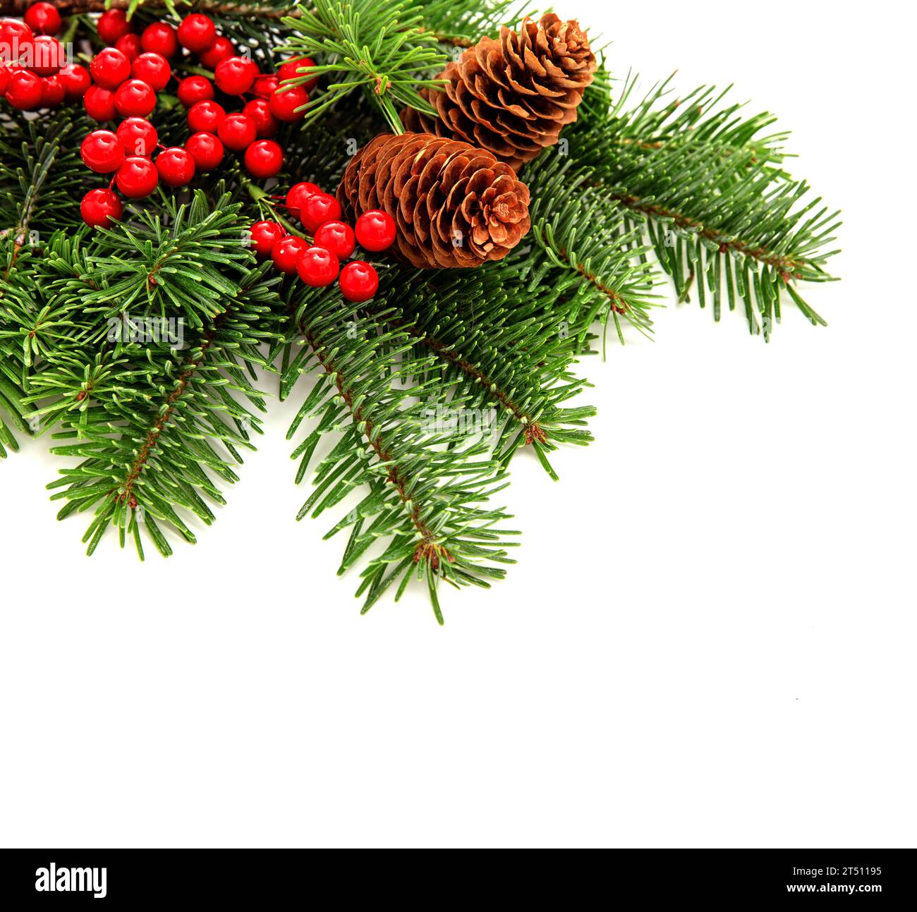 Christmas tree branch decorated with red berries and cones isolated on ...