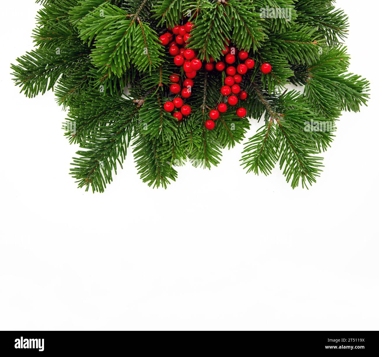 Christmas tree branch decorated with red berries isolated on white ...