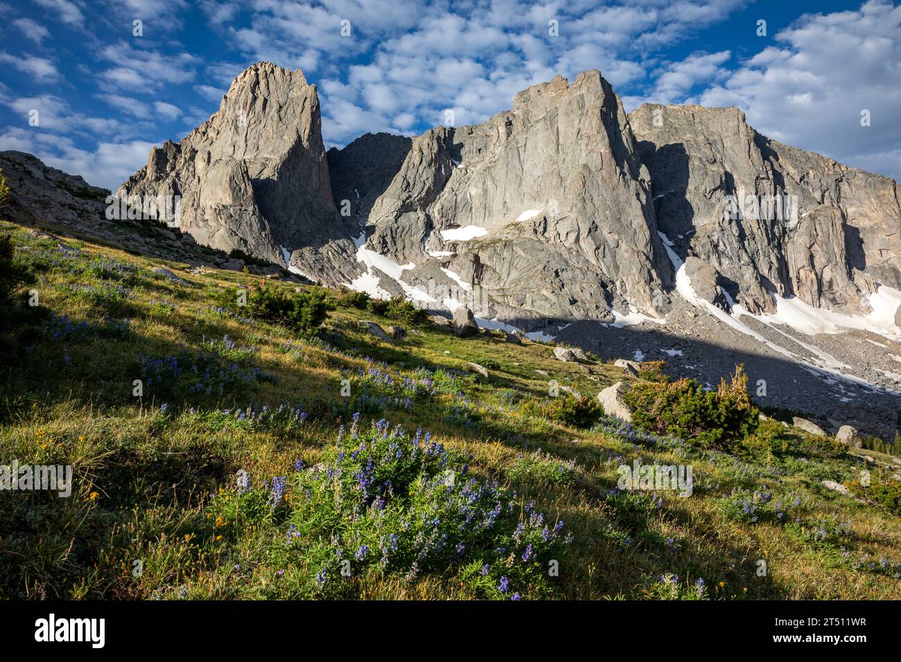 WY5597-00...WYOMING - Morning light on Warbonnet, Warrior, and Warrior 2 in the Cirque of the Towers; Pope Agie Wilderness. Stock Photo