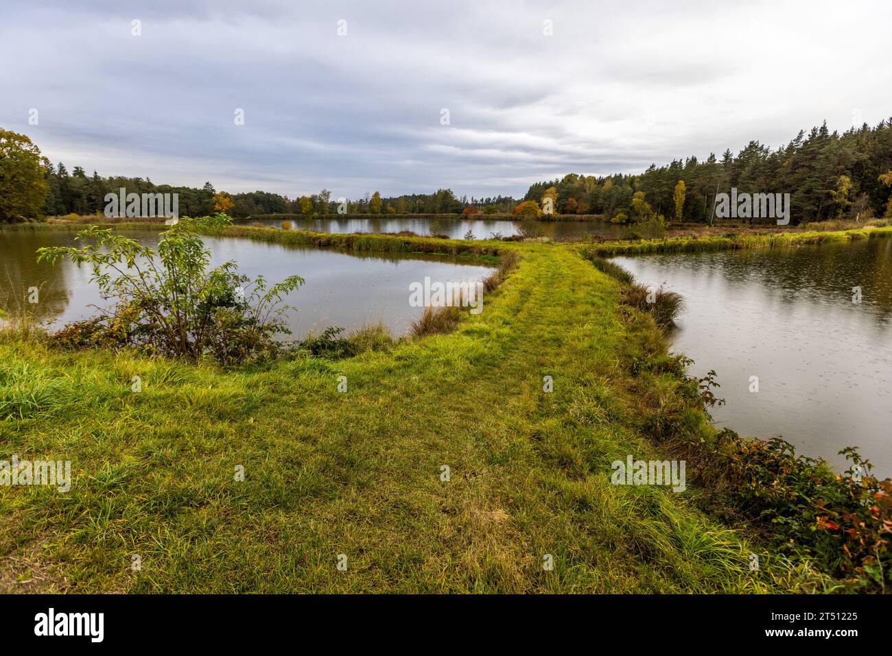 Chain of ponds in the Upper Palatinate for fish farming. A carp pond is a standing body of water about 1 meter deep. Mitterteich (VGem), Germany Stock Photo