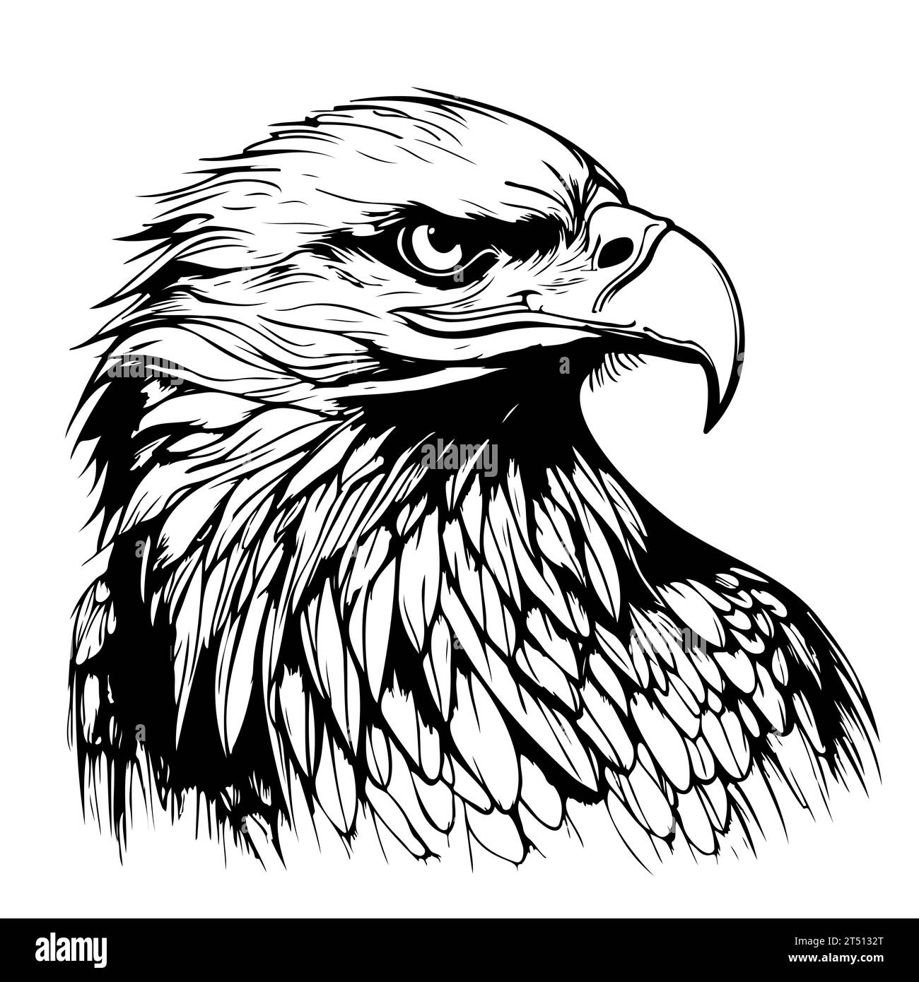 Aggressive bald eagle Black and White Stock Photos & Images - Alamy