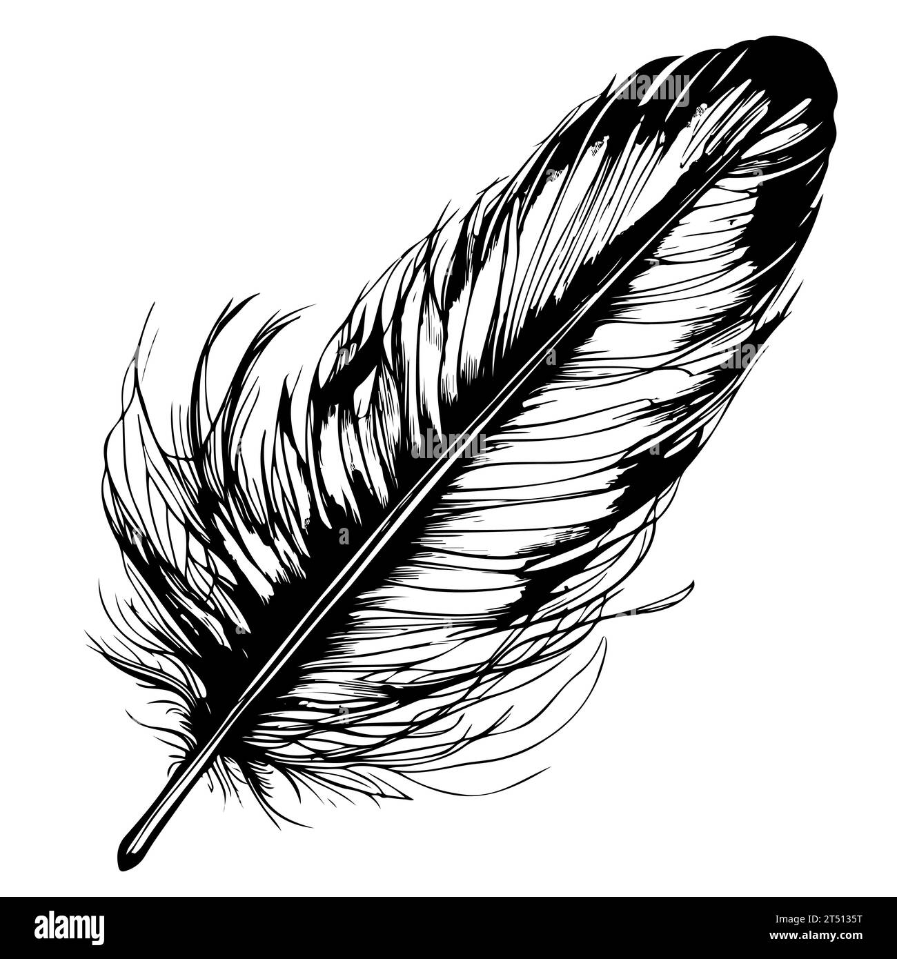 Hand drawn black fluffy feathers. Vector black and white illustration ...