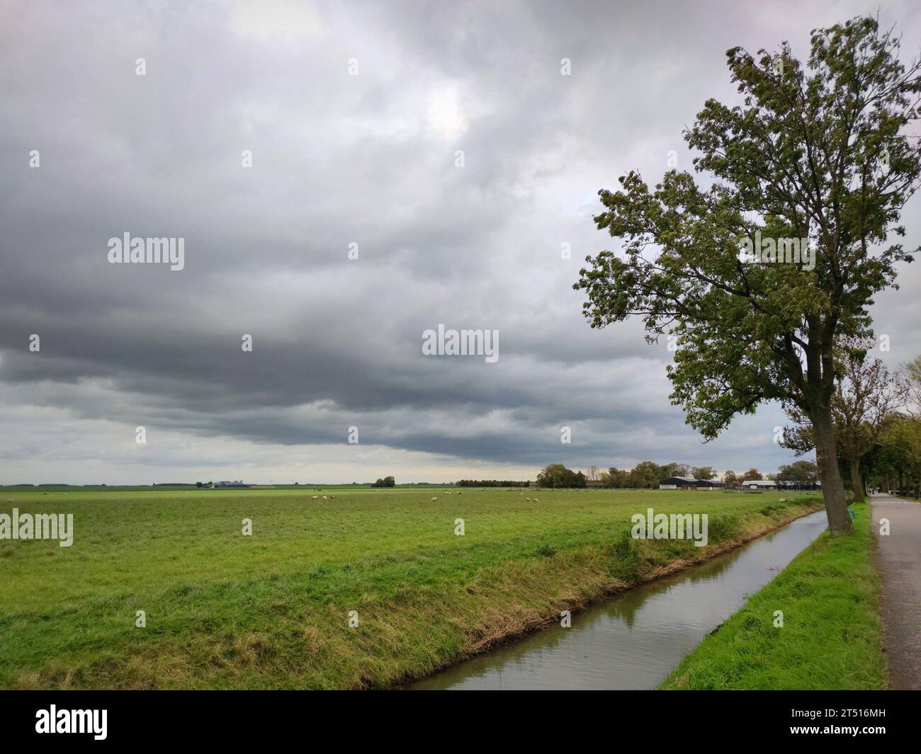 Clouds over the grass plains with it's many ditches in the western part of Holland. Stock Photo