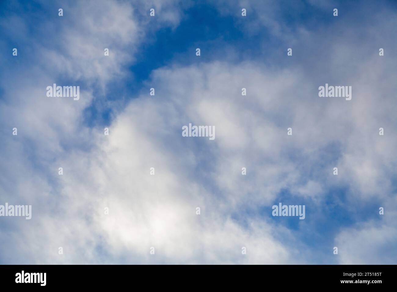 looking up at the white Cumulus clouds in a blue sky, room for copy space Stock Photo