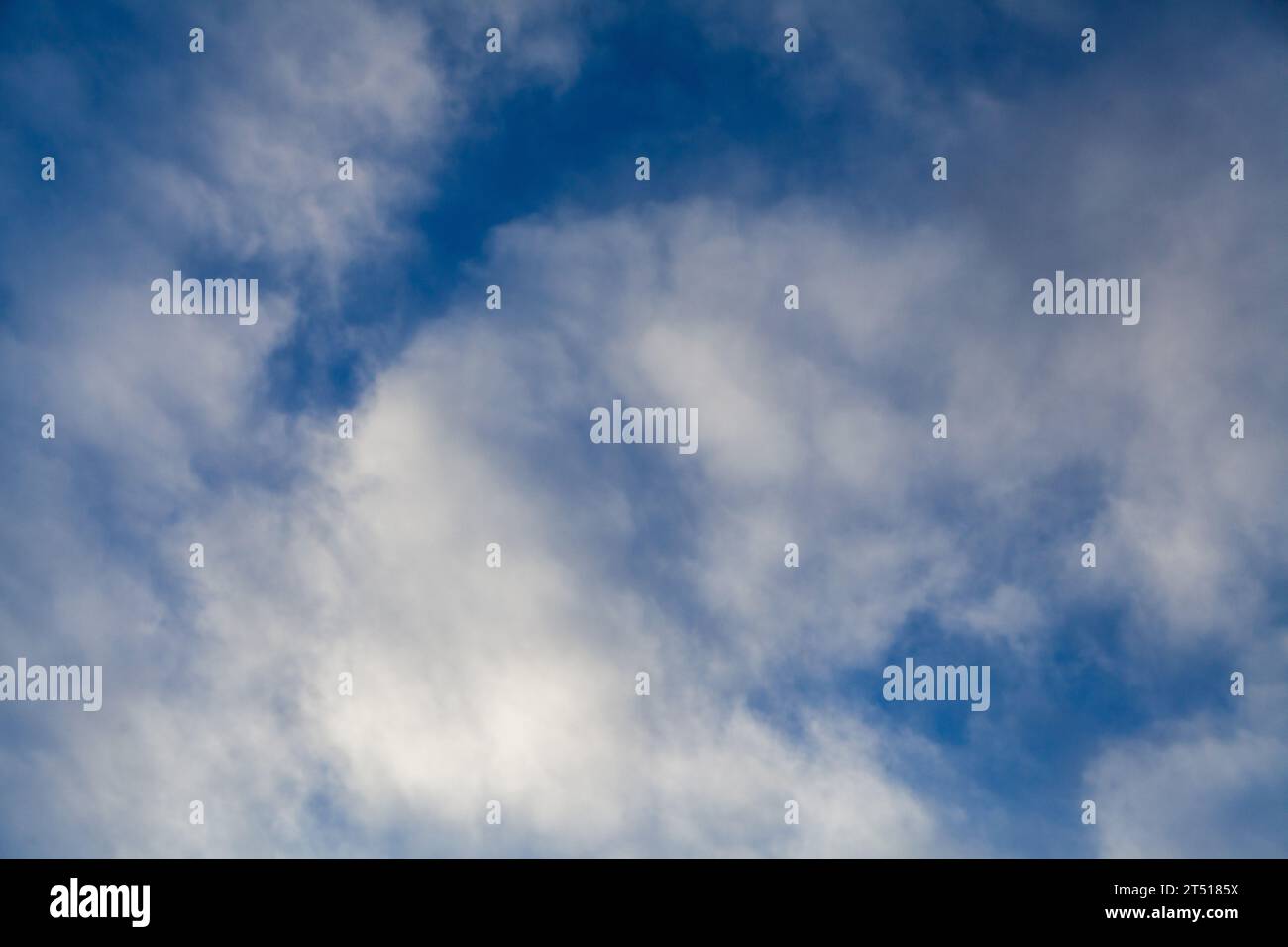 looking up at the white Cumulus clouds in a blue sky, room for copy space Stock Photo