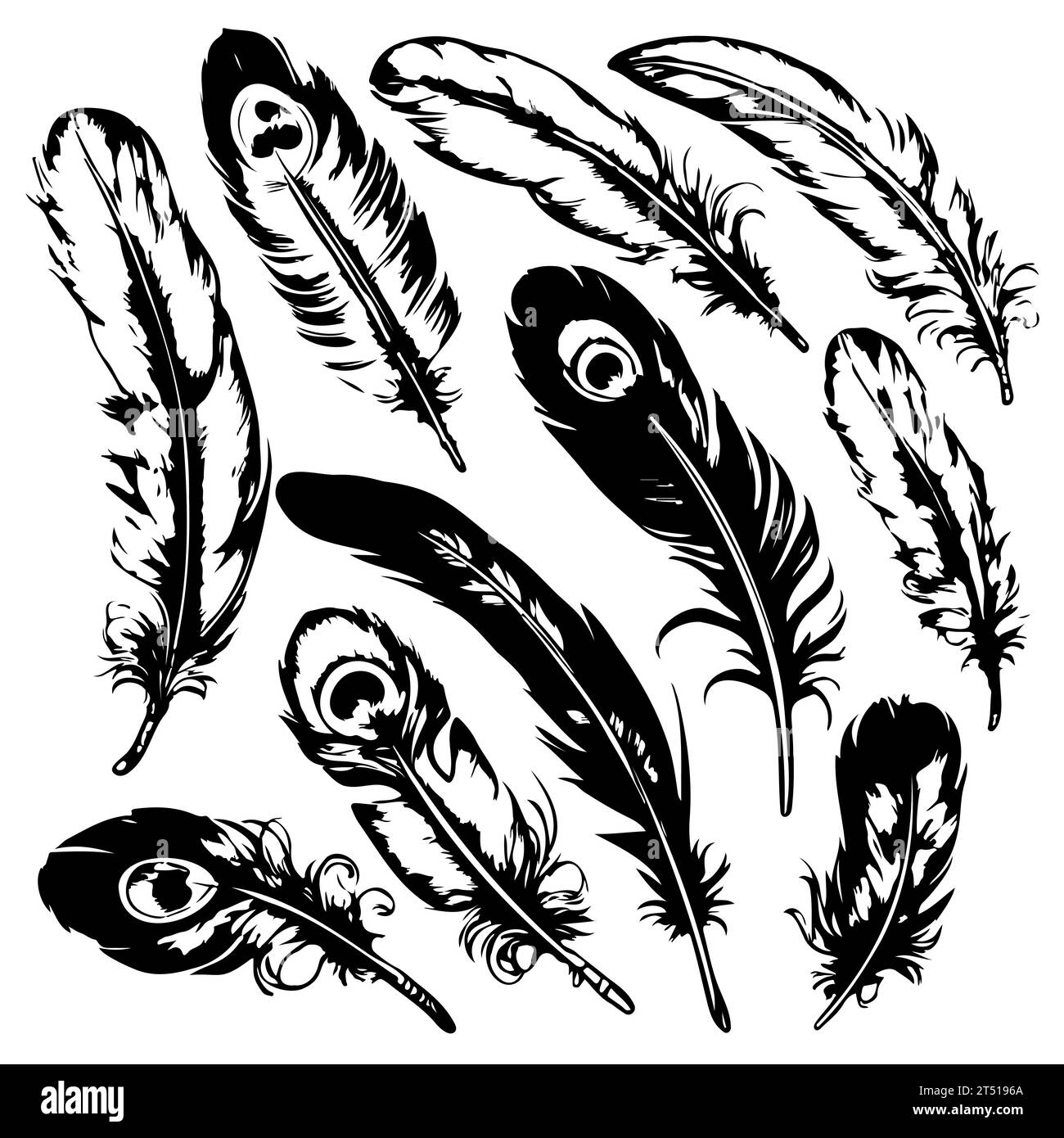 set Hand drawn black fluffy feathers. Vector black and white ...
