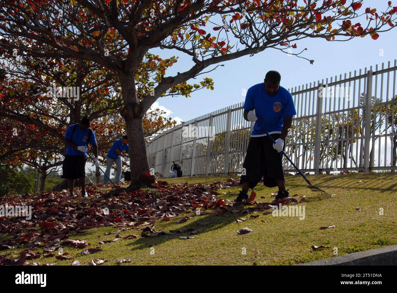 0901298490W-004 OKINAWA, Japan (Jan. 29, 2009) Sailors from the 'Mad Foxes' of Patrol Squadron (VP) 5 rake up leaves during a park clean-up community relations project at an Okinawan complex park. VP-5 is on deployment in Okinawa. Navy Stock Photo