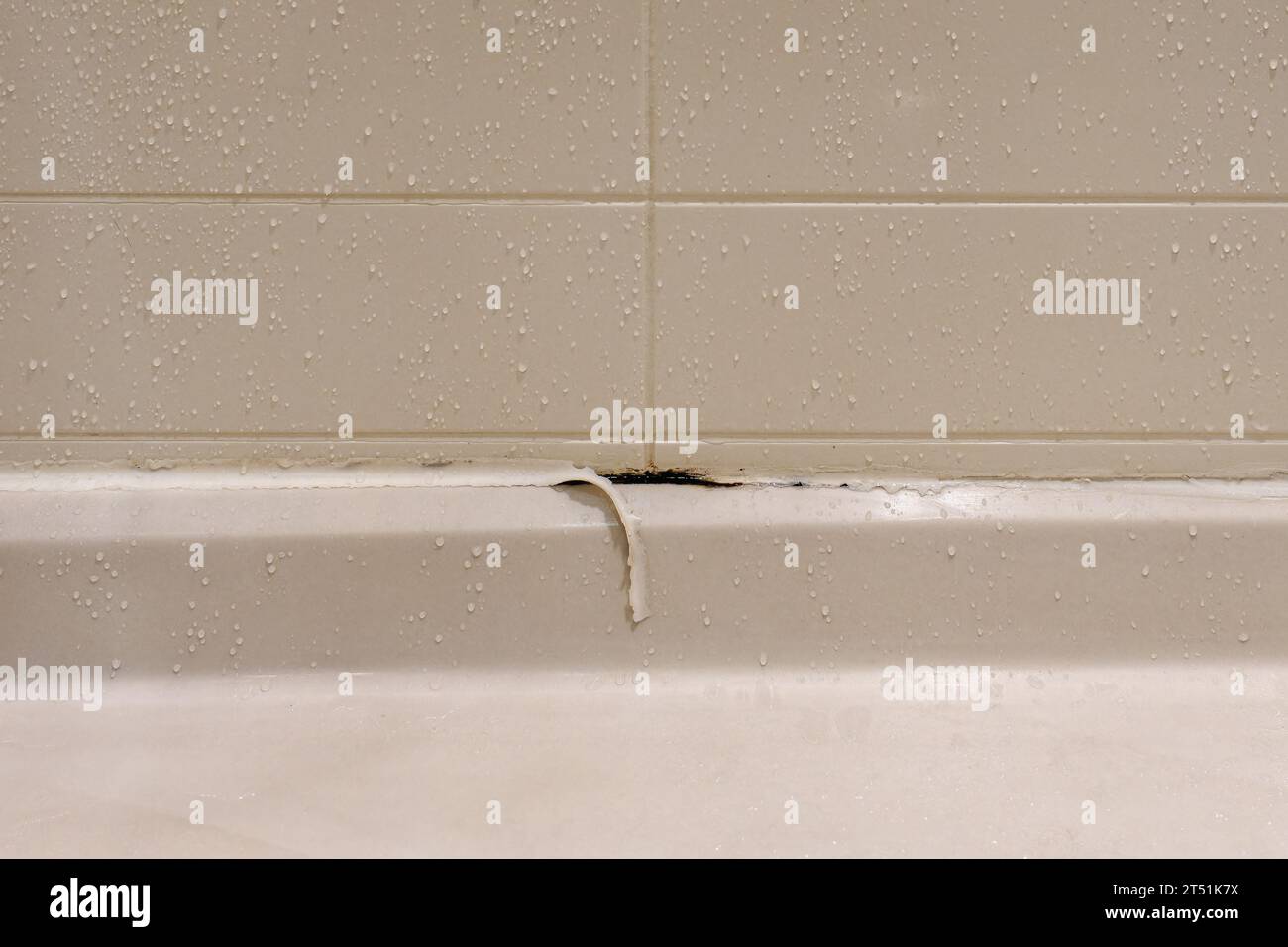 white shower stall with peeling caulking and mold growing underneath in a bathroom for unhealthy concept Stock Photo