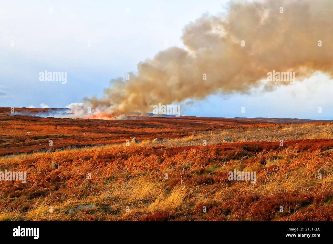 Heather and grass burning on Barden moor North Yorkshire sends smoke billowing into the air and  polluting the atmosphere. Stock Photo