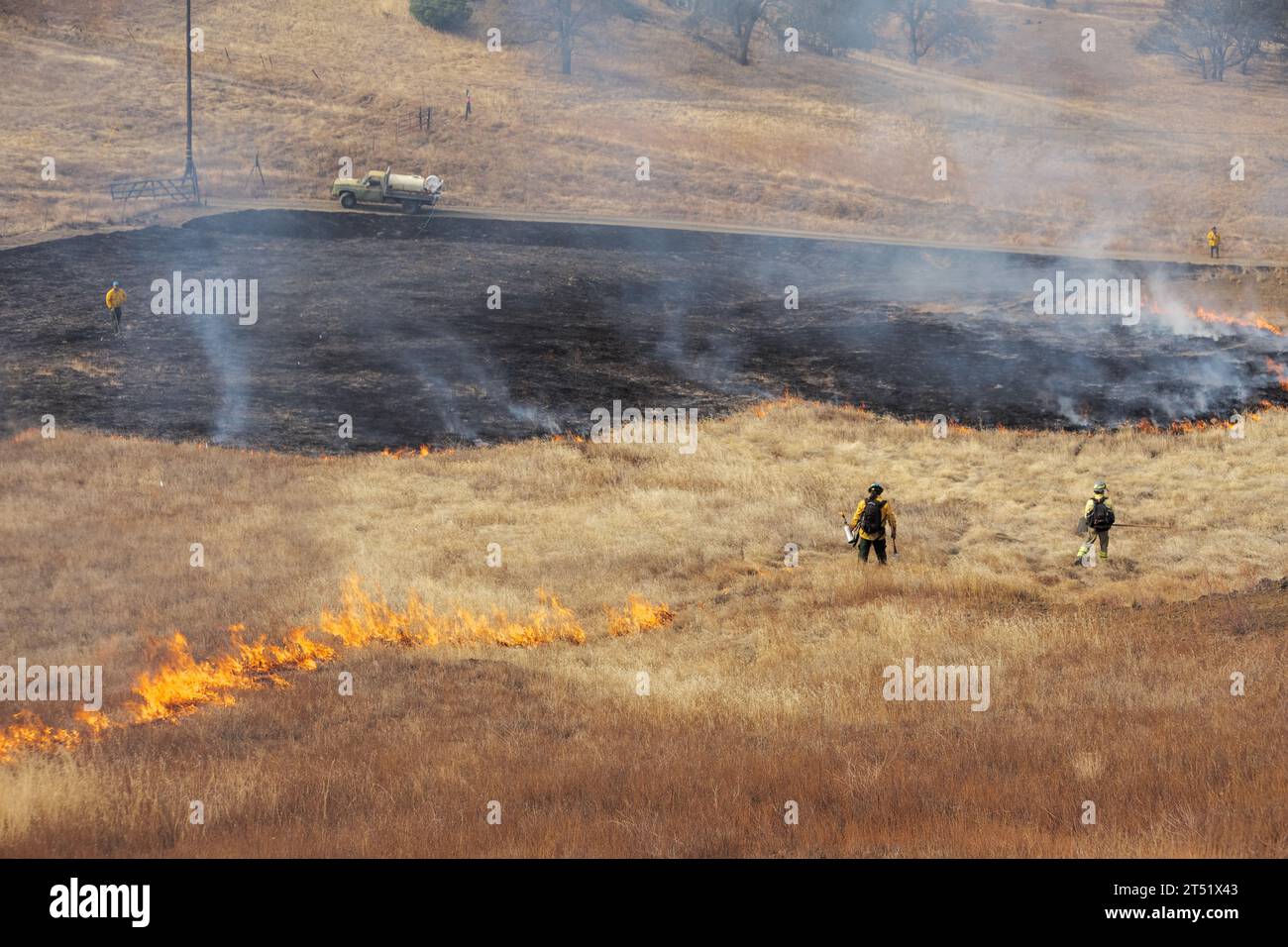 Firefighters light a line of fire in grasses during a control burn Stock Photo