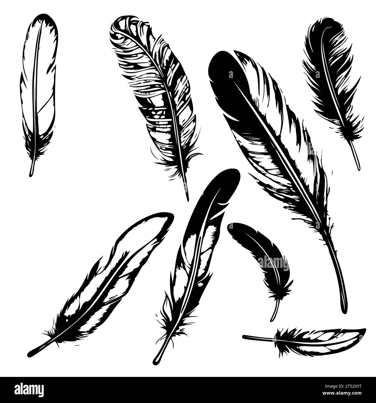 set Hand drawn black fluffy feathers. Vector black and white ...