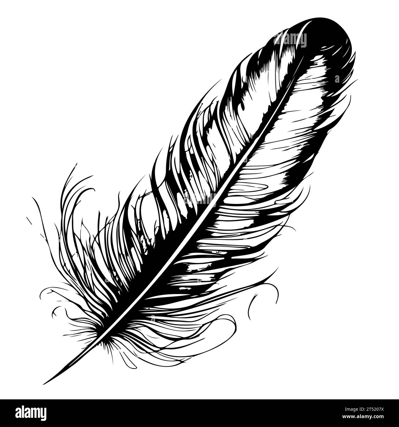 bird feather. Hand drawn illustration converted to vector. Outline with ...