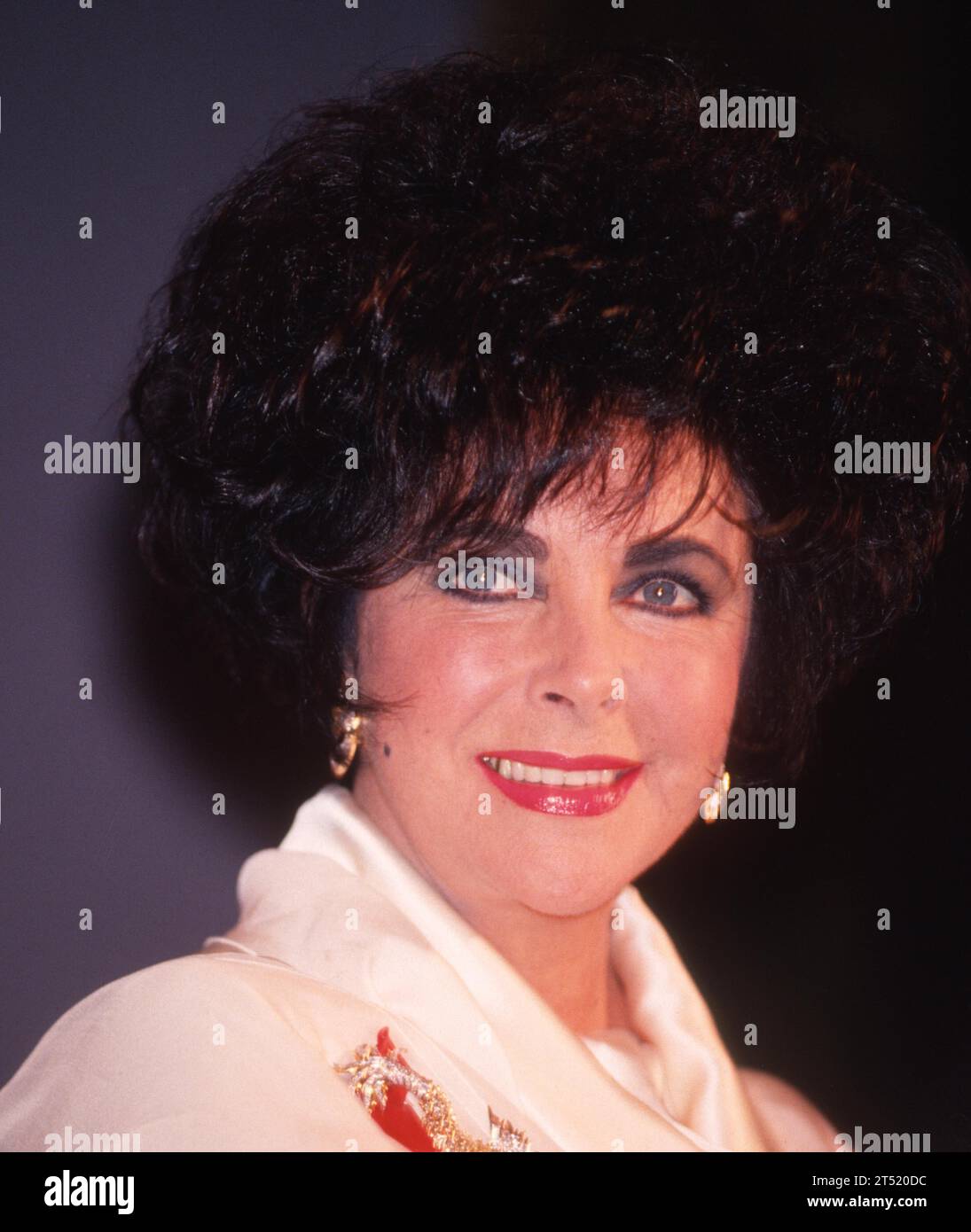 Elizabeth taylor 1993 hi-res stock photography and images - Alamy
