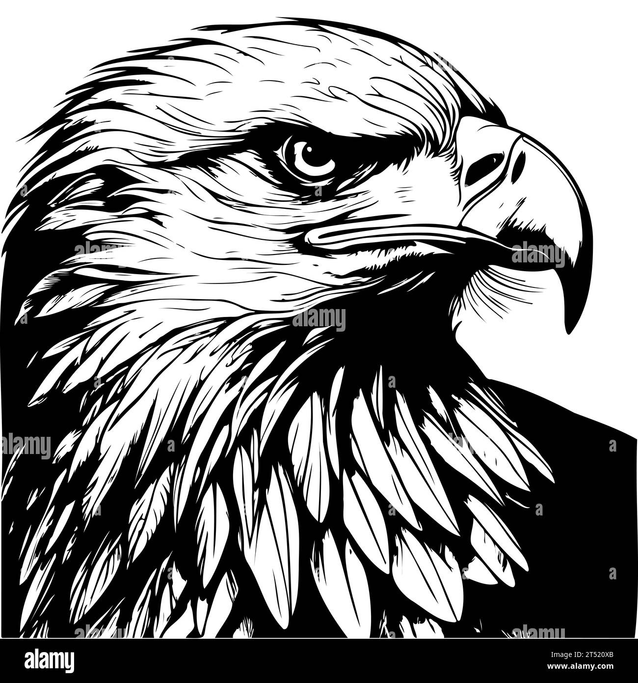 Sketch eagle hand drawn vector illustration Stock Vector Image & Art
