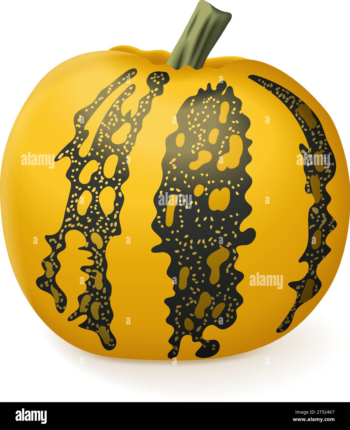 Styrian oil pumpkin. Winter squash. Cucurbita pepo. var. Styriaca. Fruits and vegetables. Isolated vector illustration. Stock Vector