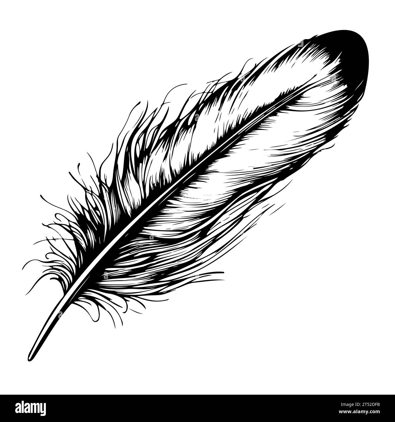 Hand drawn black fluffy feathers. Vector black and white illustration ...