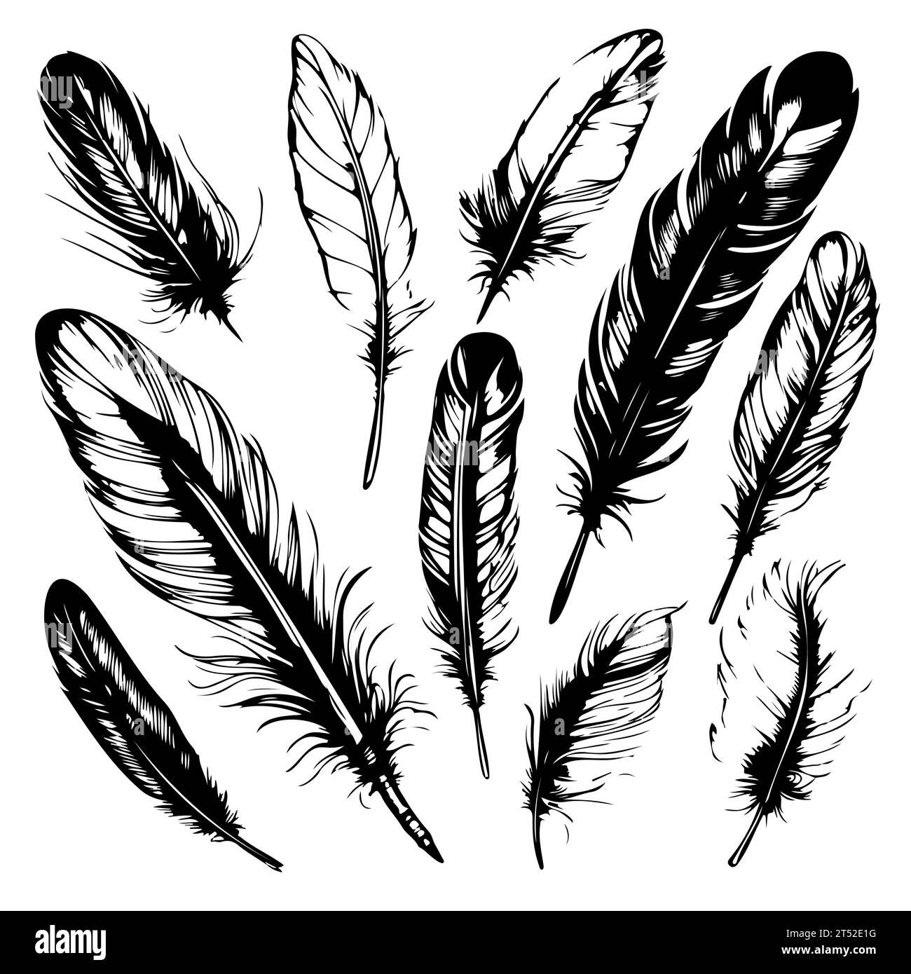 set Hand drawn black fluffy feathers. Vector black and white ...