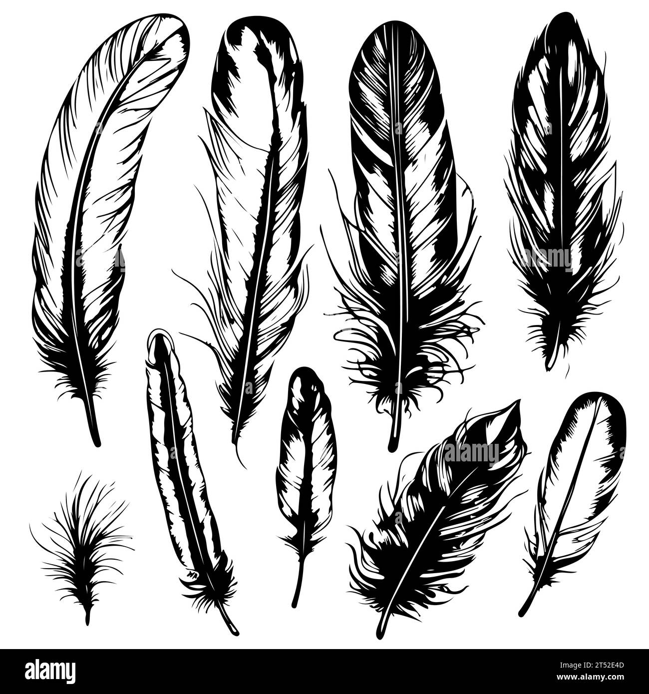 set Hand drawn black fluffy feathers. Vector black and white ...