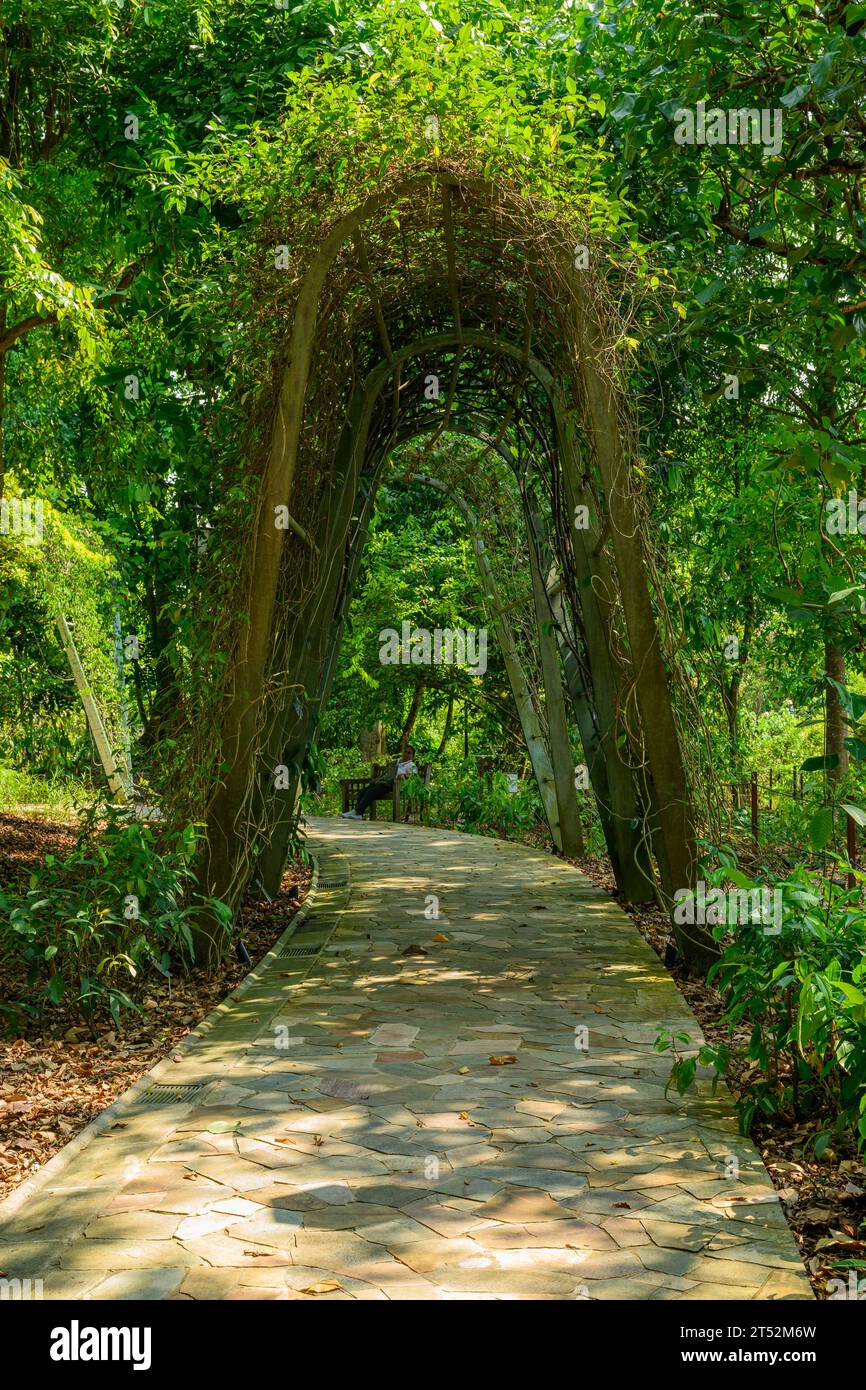 The Trellis garden at Singapore Botanic Gardens, Singapore Stock Photo -  Alamy