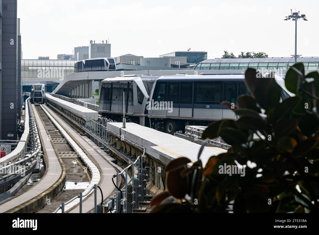 the-skytrain-at-singapore-changi-airport-2T531BA.jpg