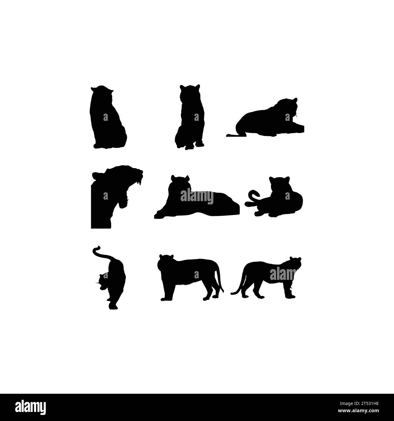 Tiger animal wild design Royalty Free Vector Image Stock Vector Image