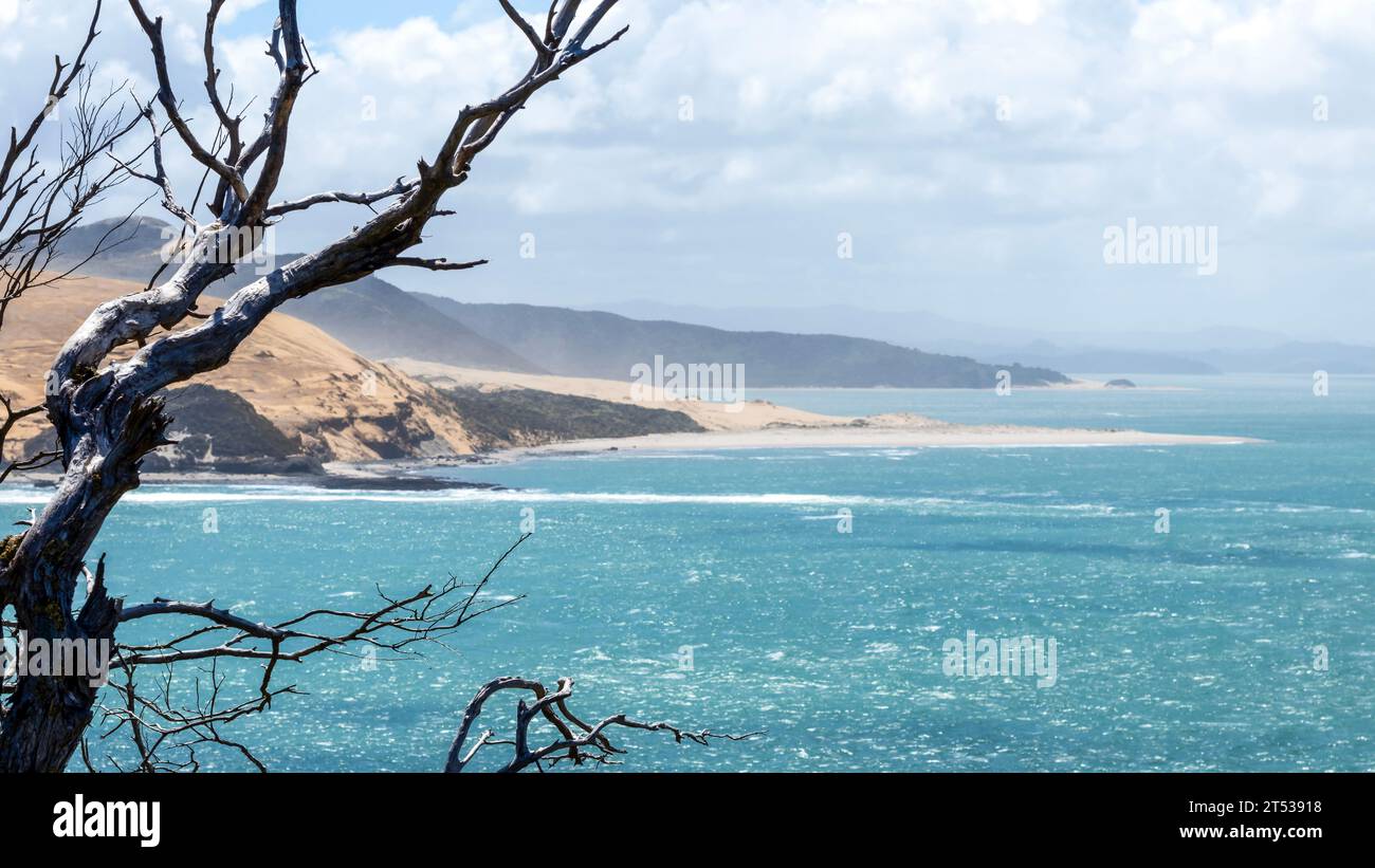 Omapere Signal Station Track: Exploring the spectacular views of the harbour and coastline in Hokianga Heads area in the Northland region, New Zealand Stock Photo