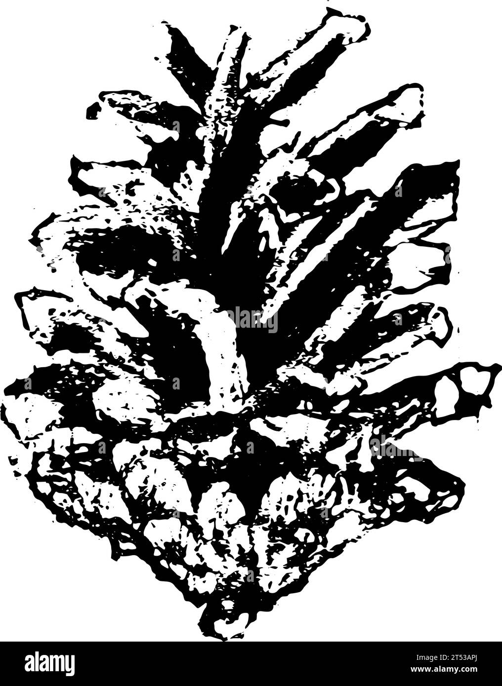 Pine cone. Vector hand drawn sketch illustration. Sloppy doodle grunge style Stock Vector