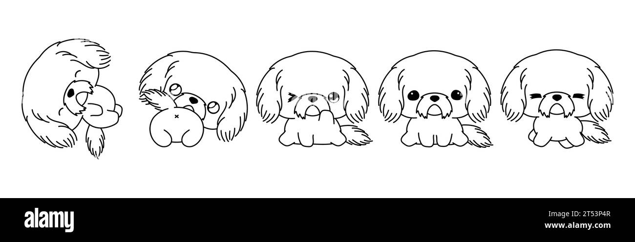 Set of Kawaii Isolated Shih Tzu Puppy Coloring Page. Collection of Cute Vector Cartoon Dog Outline for Stickers, Baby Shower, Coloring Book, Prints Stock Vector