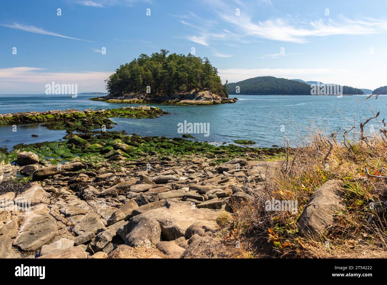 Rocky beach on Mayne Island, BC, Canada. A small tree-covered island sits just off the coast in the Pacific Ocean. Rocks lead to the island. Stock Photo