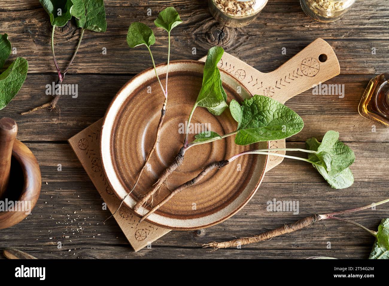 Whole young burdock plants with roots on a rustic table, top view Stock Photo