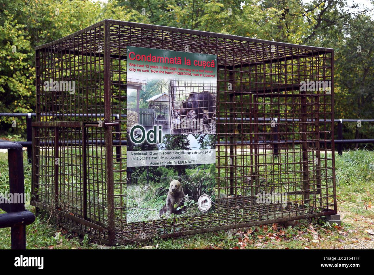 Example of the sort of cage from which bears are rescued, Libearty Bear Sanctuary, Zărnești, Southern Carpathians, Transylvania, Romania, Europe Stock Photo