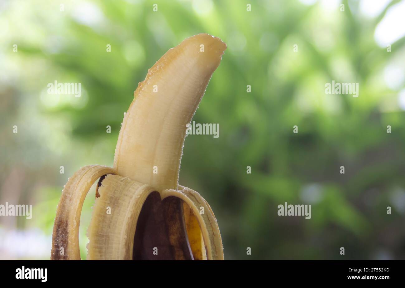 Rotten banana on blurred bokeh nature background Stock Photo Alamy