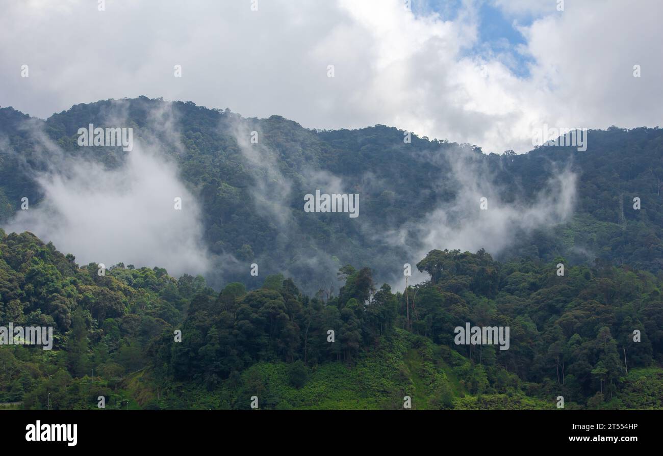 Scenic view of the misty mountains along the Genting Highlands, Malaysia Stock Photo