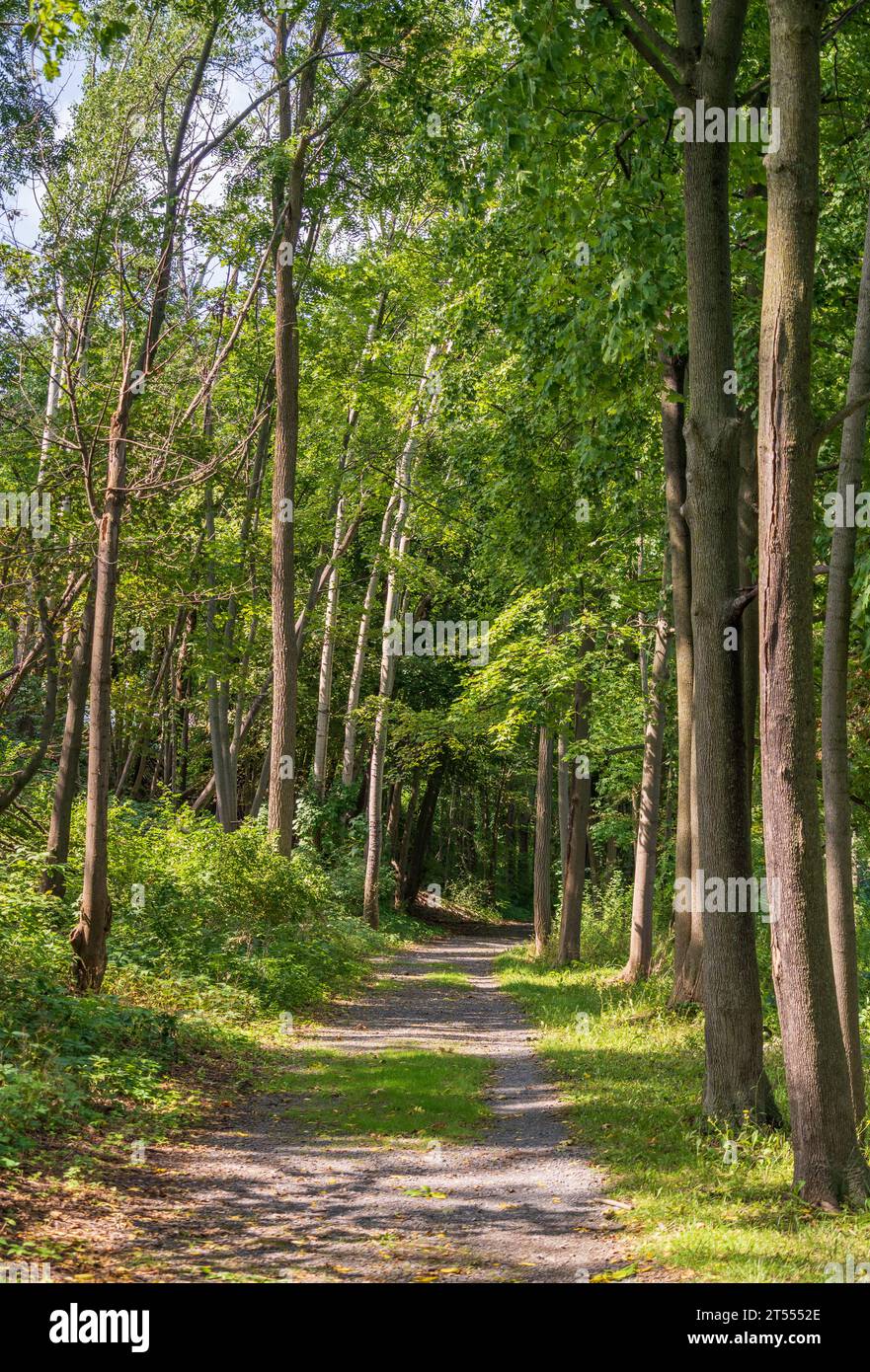 Cayuga and Seneca Canal in Seneca Falls, New York State Stock Photo Alamy