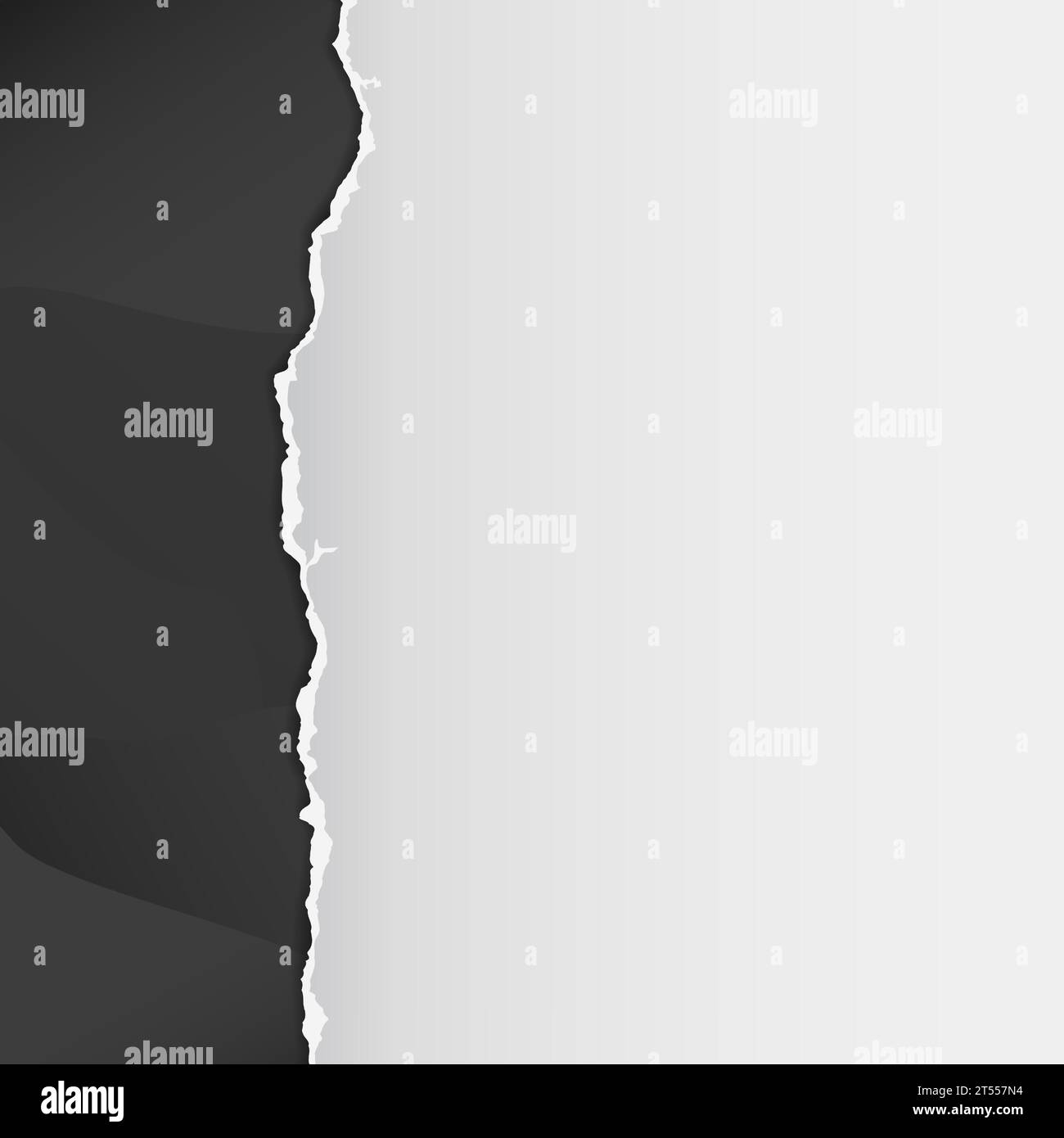 White Ripped Text Background Torn, ripped white paper strip with soft shadow is on black background ...