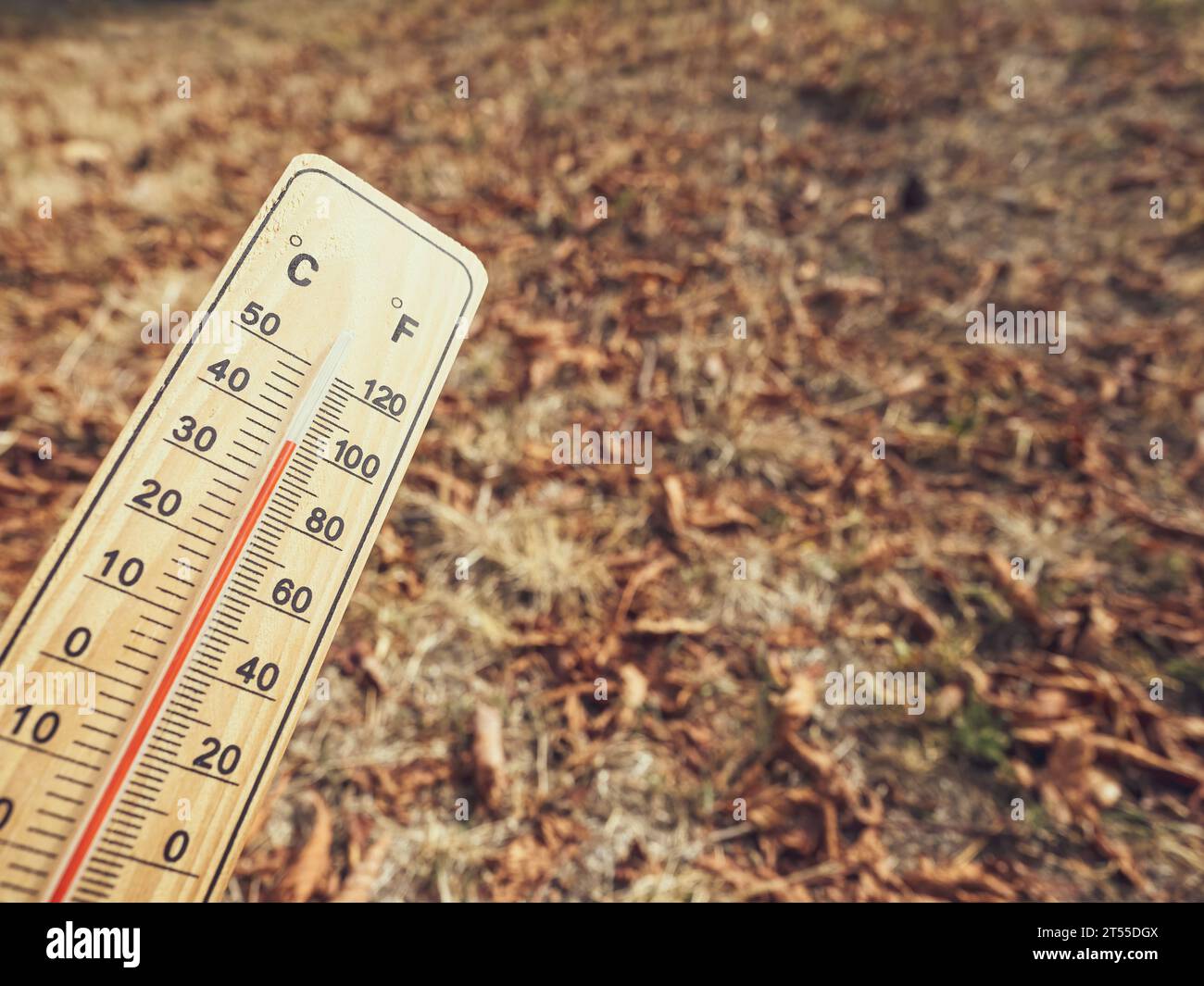 https://c8.alamy.com/comp/2T55DGX/wooden-thermometer-with-red-measuring-liquid-showing-high-temperatures-over-36-degrees-celsius-on-sunny-day-on-background-of-dry-lawn-concept-of-heat-2T55DGX.jpg