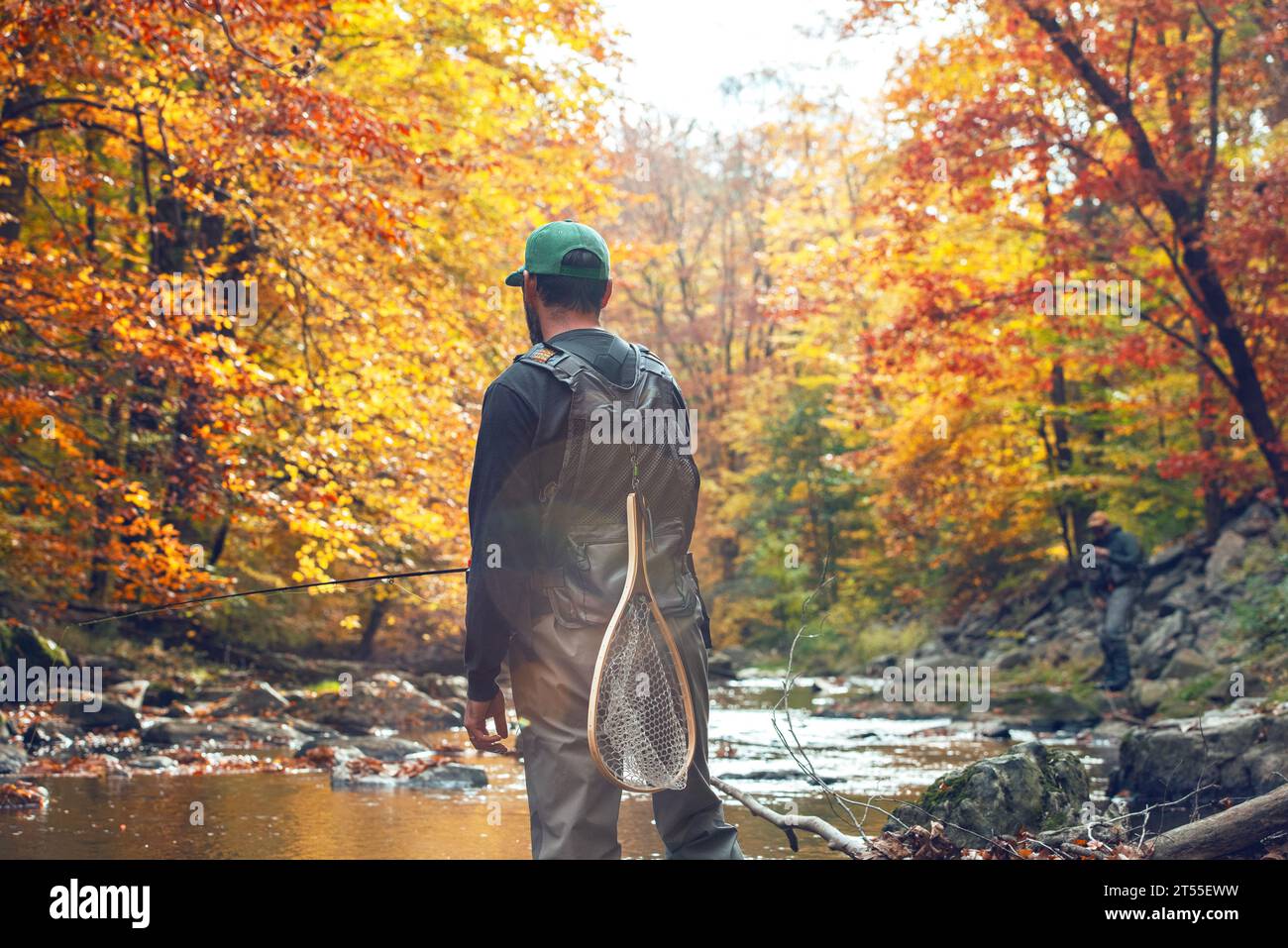 Man fly fishing in a river on a bright sunny colorful fall day Stock Photo