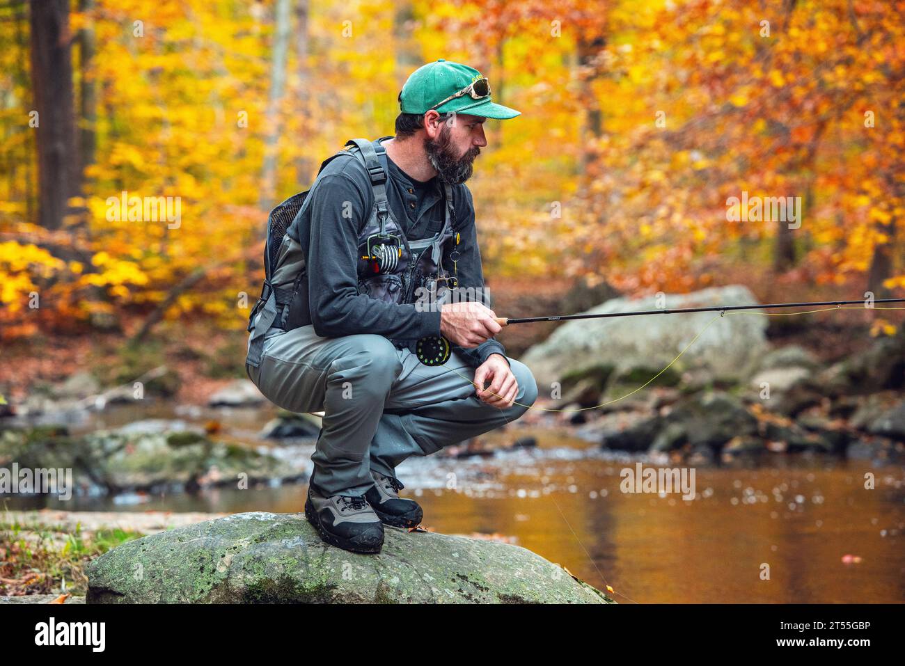 Man searching and fly fishing on a bright sunny colorful fall day Stock Photo