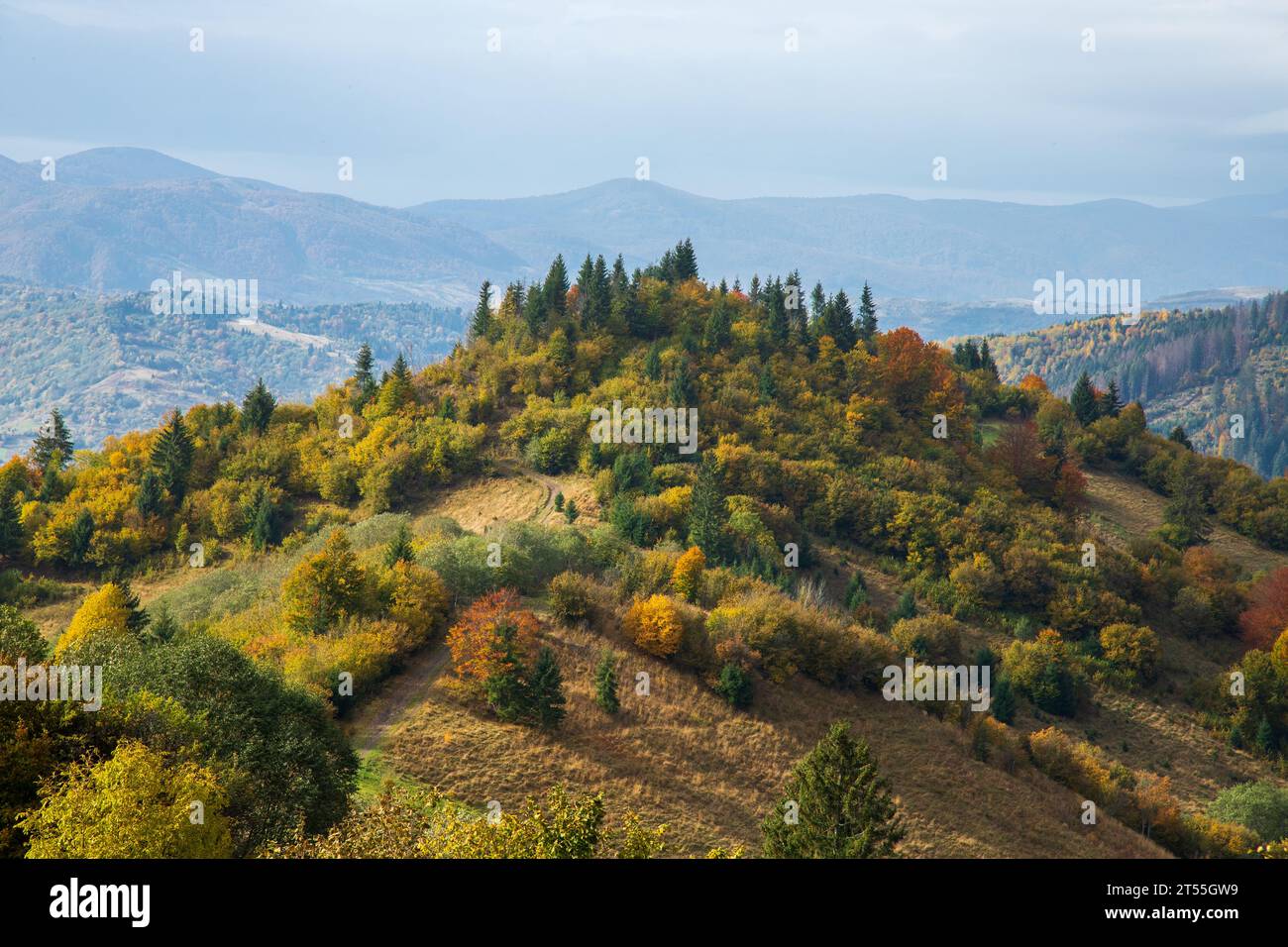 Golden autumn in the Carpathians Stock Photo - Alamy