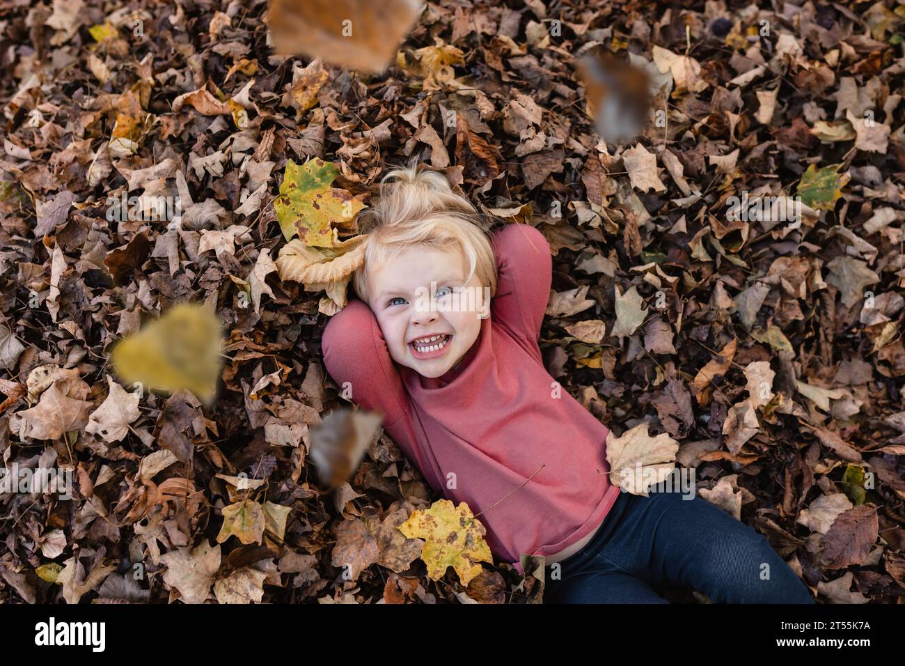 Smiling child laying in leaf pile as autumn leaves fall Stock Photo