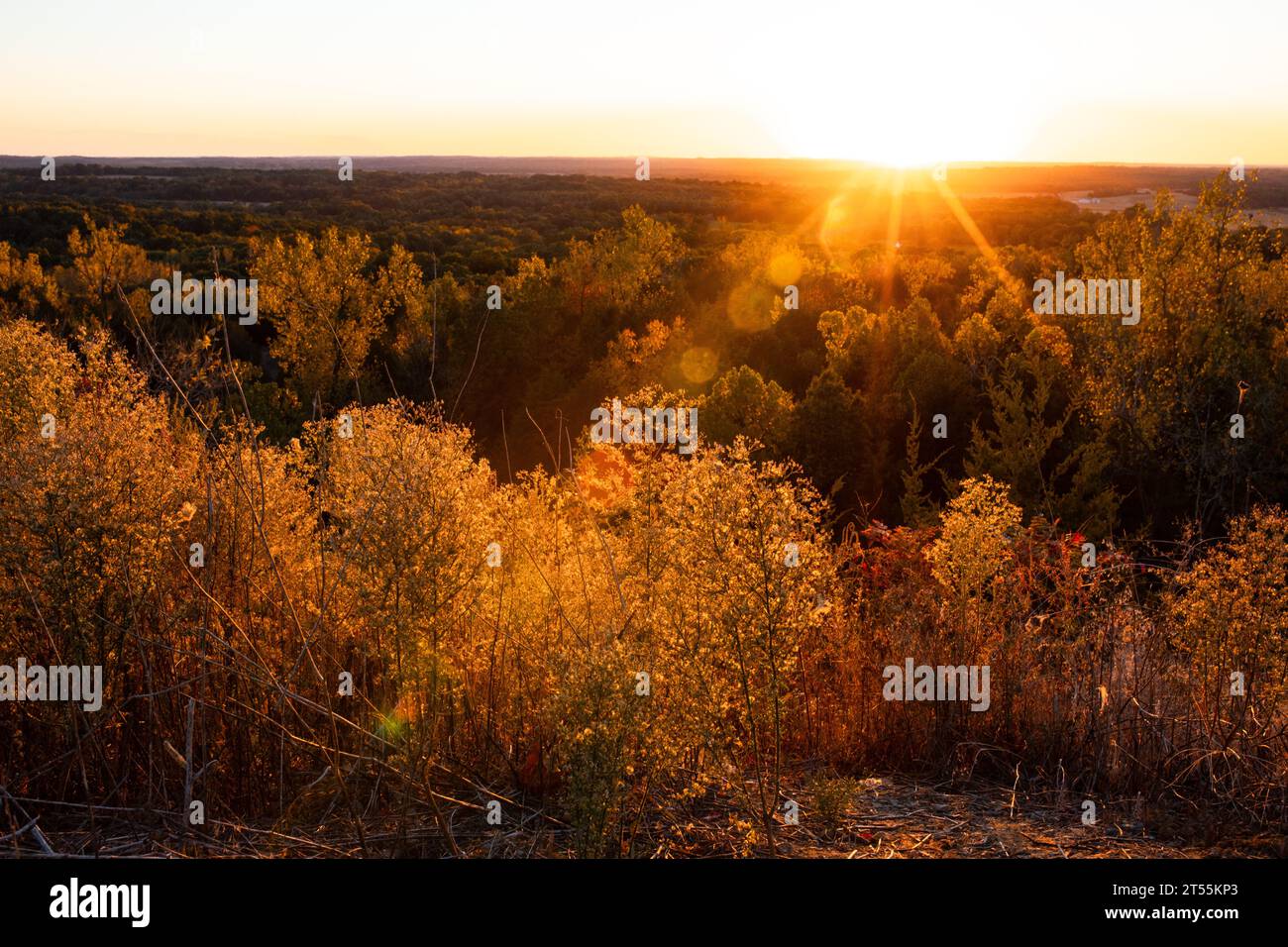 Sunflare over golden autumn forest during sunset Stock Photo