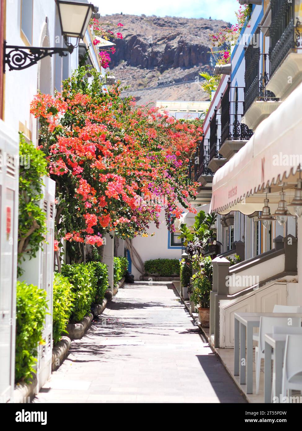 Puerto del mogan Gran canaria Stock Photo Alamy